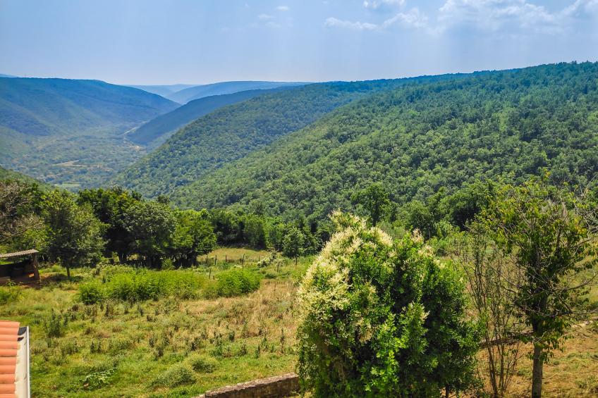 Perina Hiža - foto 19