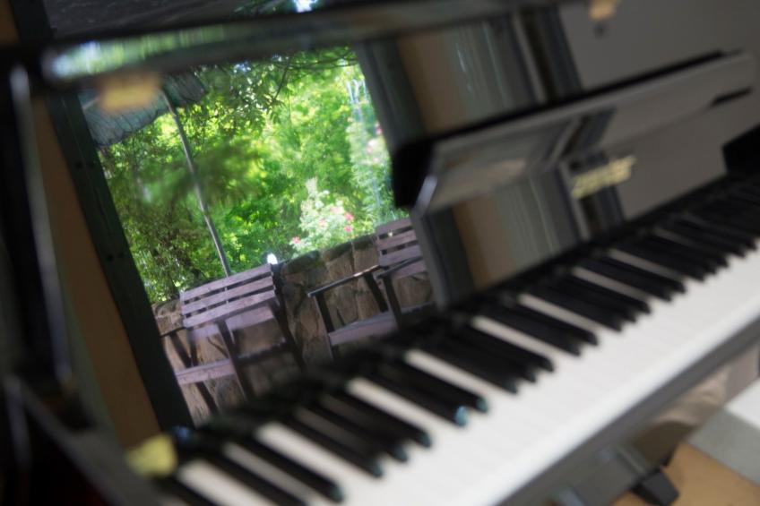 "Haustierfreundliches 'Cottage Glicini' mit Pool und Aussicht - foto 28