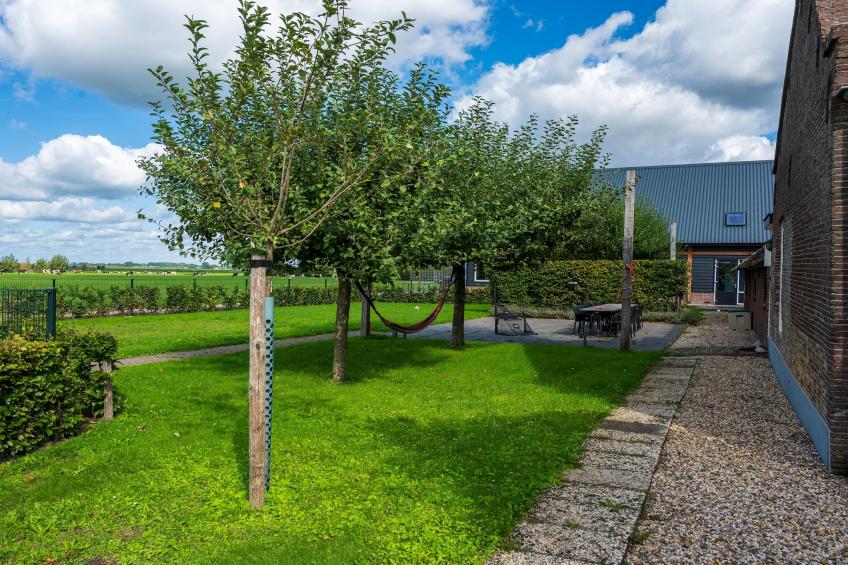 The Old Farmhouse - foto 44