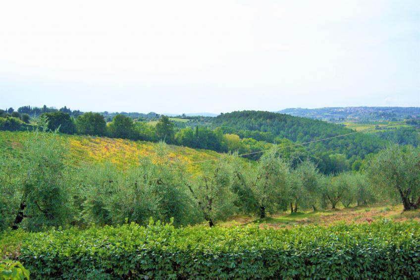 Il Poggiale-app6 - foto 37