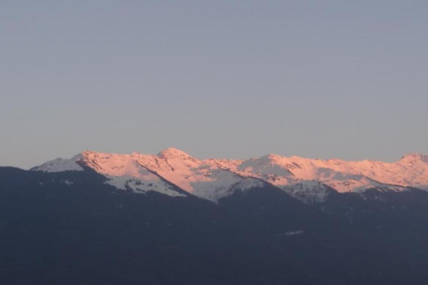 La Ferme de Noémie - foto 33