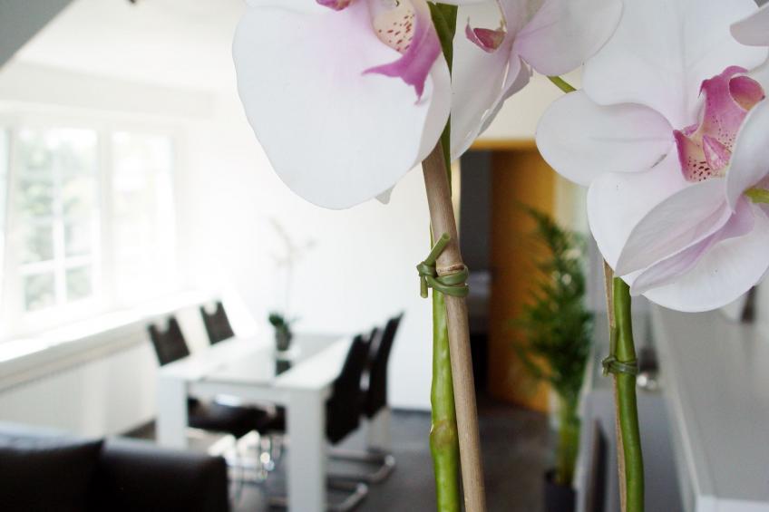 La Domus Premium - foto 7