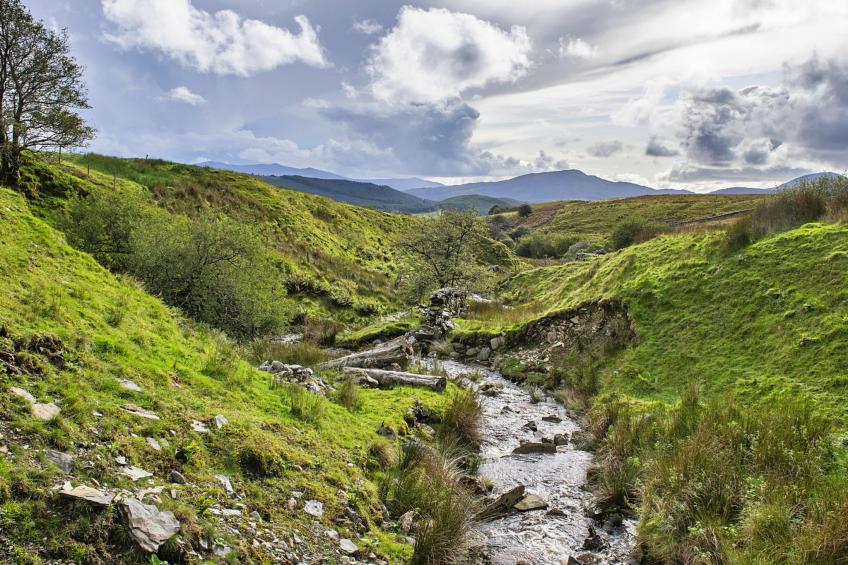 Mountain View - foto 4