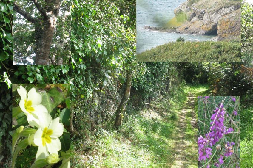 Haus auf der Halbinsel Plougastel - foto 16