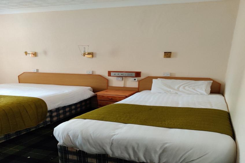 Standard Twin Room - foto 2