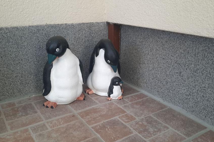 Klimatisiertes Ferienhaus in Bükfürdö mit Garten - foto 24