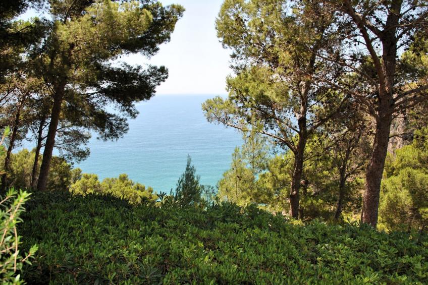 Marilena - foto 20