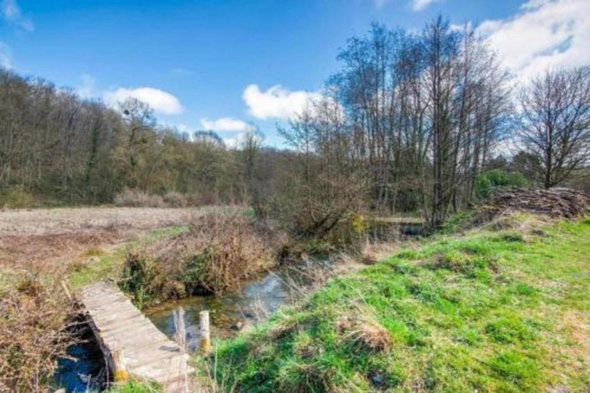 HORTENSIAS - foto 30