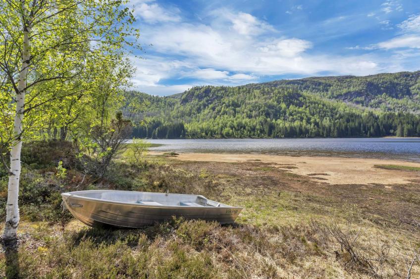 Oddbu (SOW103) - foto 5