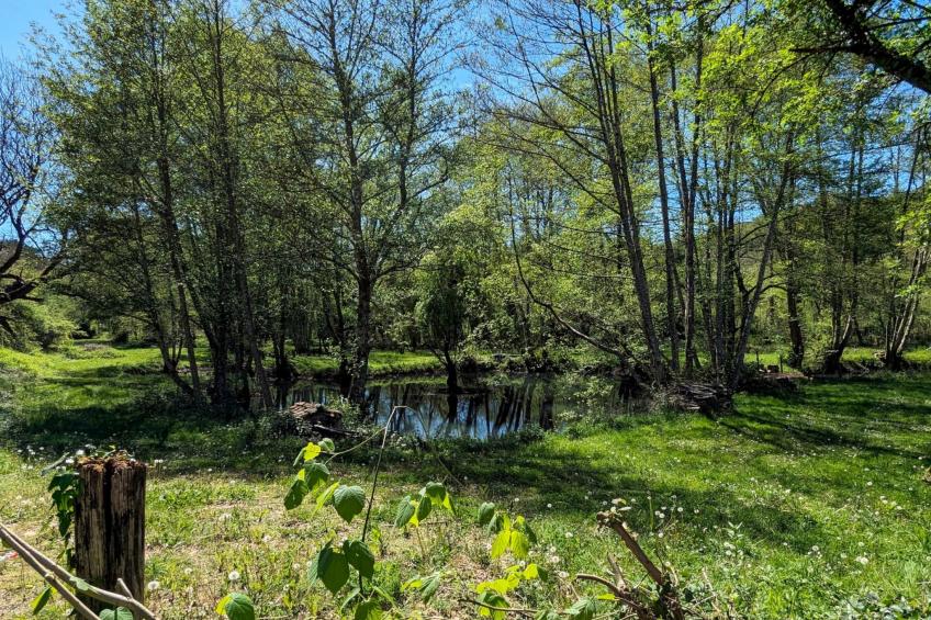 Studio "Vert d'Eau" mit Blick auf das Wasser - foto 9