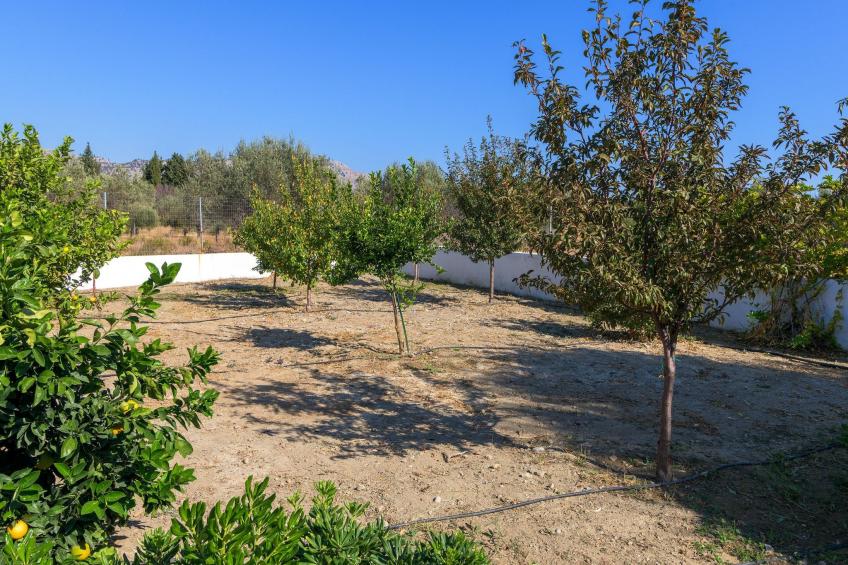 "Villa Galini" - foto 34