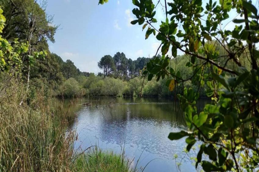 Residence Bleu Océan - foto 38