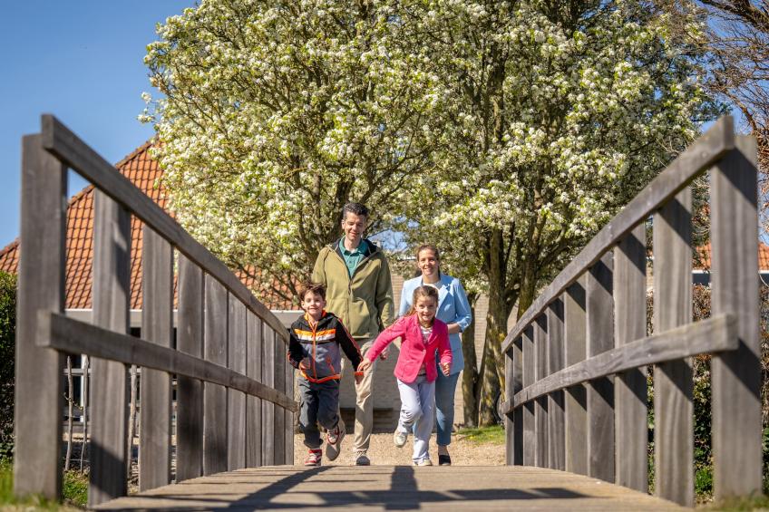 Vakantiepark de Soeten Haert 18 - foto 21