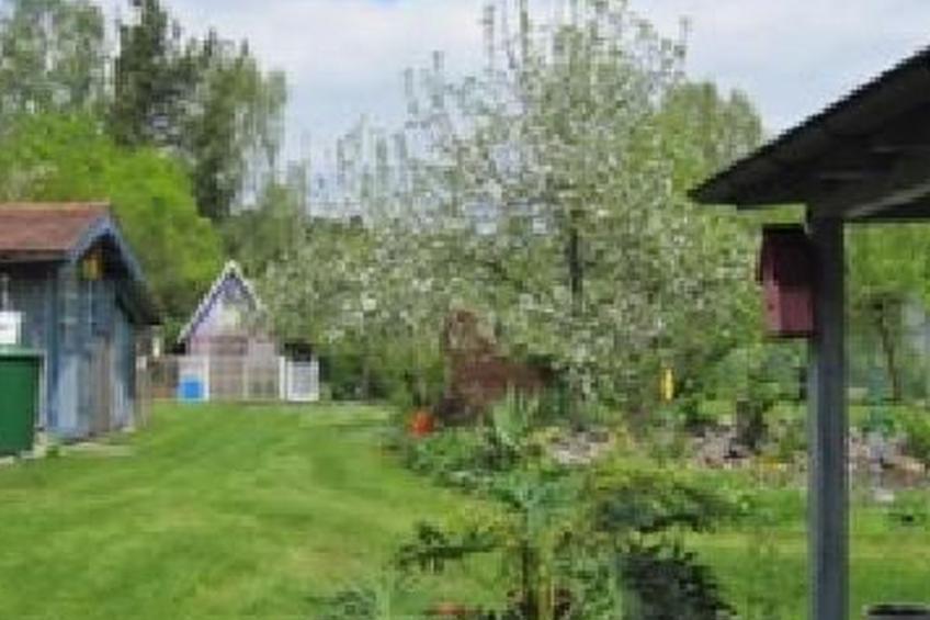 Blaues Haus - foto 18