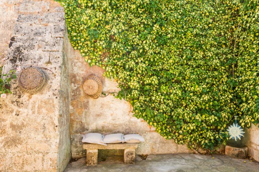 La Corte della Masseria - foto 25