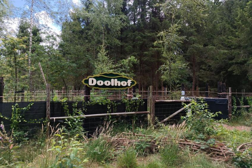 Chalet Edelhert - foto 17