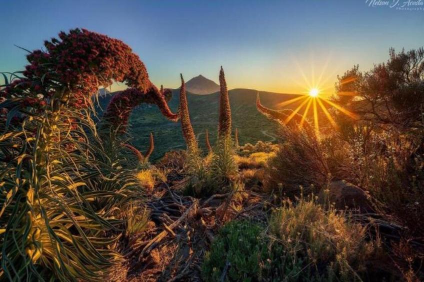 El Sombrero II - foto 23