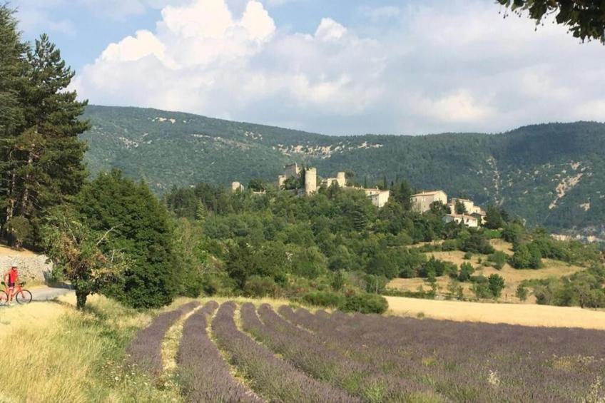 T2 'regular' - foto 32