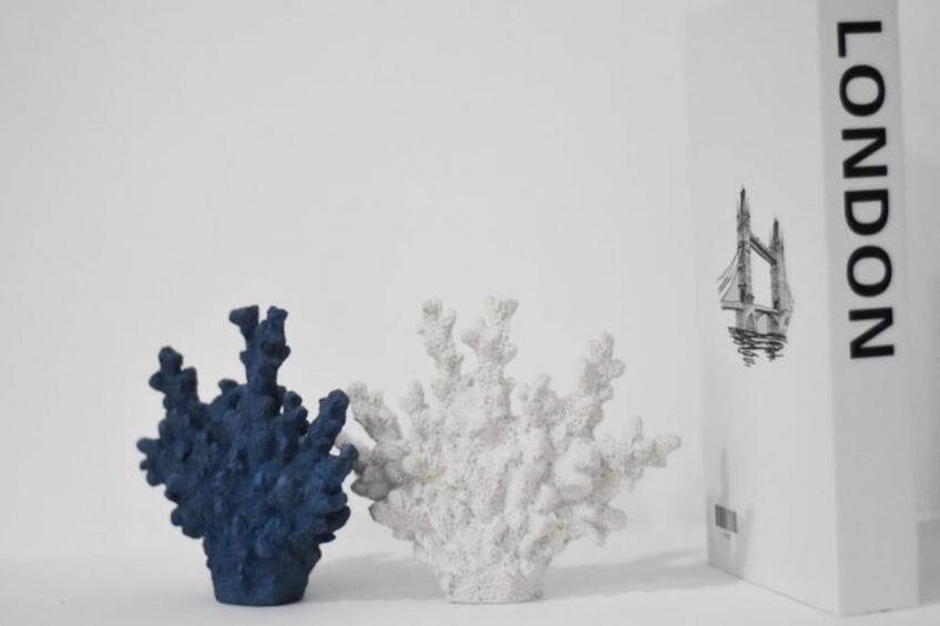 Maison à Moncofar - foto 43