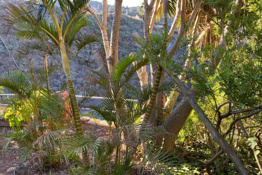 Casa Amarilla - foto 19