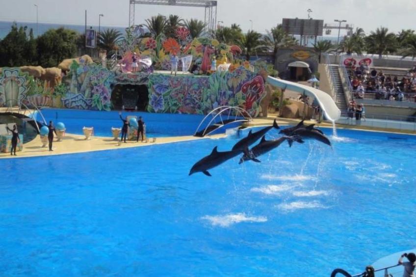 Locations-06 - la maison de noelie - Gartengeschoss - foto 12