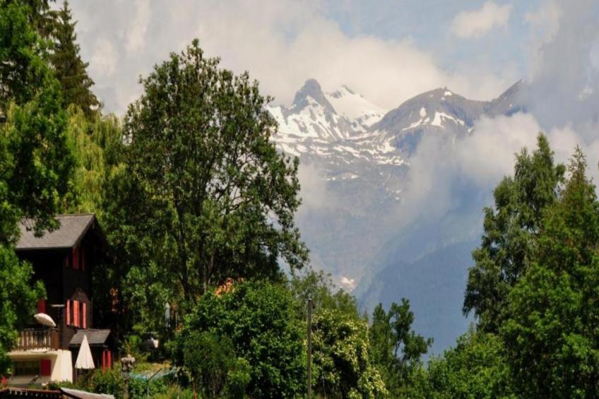 Mayens de l'Ours CZ 013 - MOUNTAIN apartment 8 per - foto 17