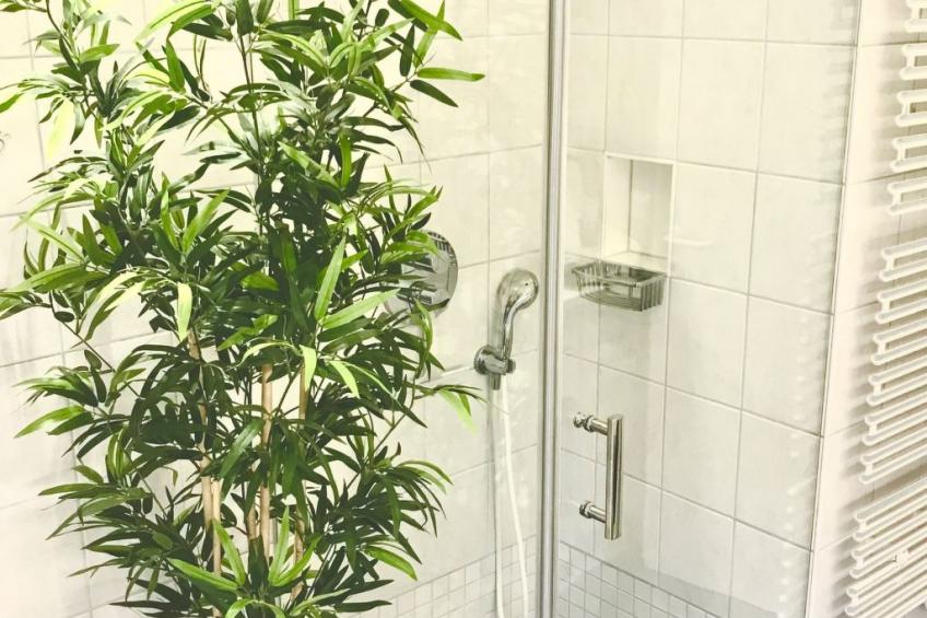 Stadtpark-Oase, ruhig, zentral, Balkon, Sauna - foto 11