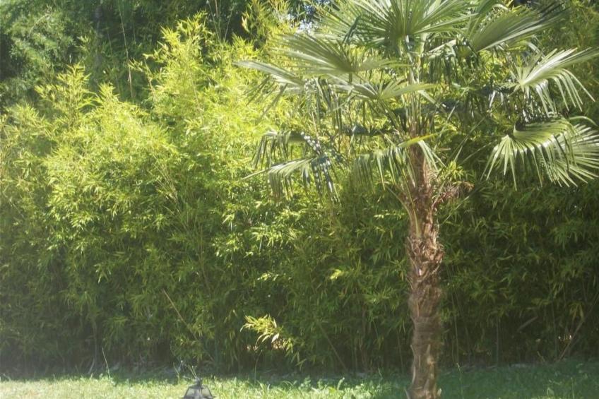 Landhaus in der Dordogne - foto 12