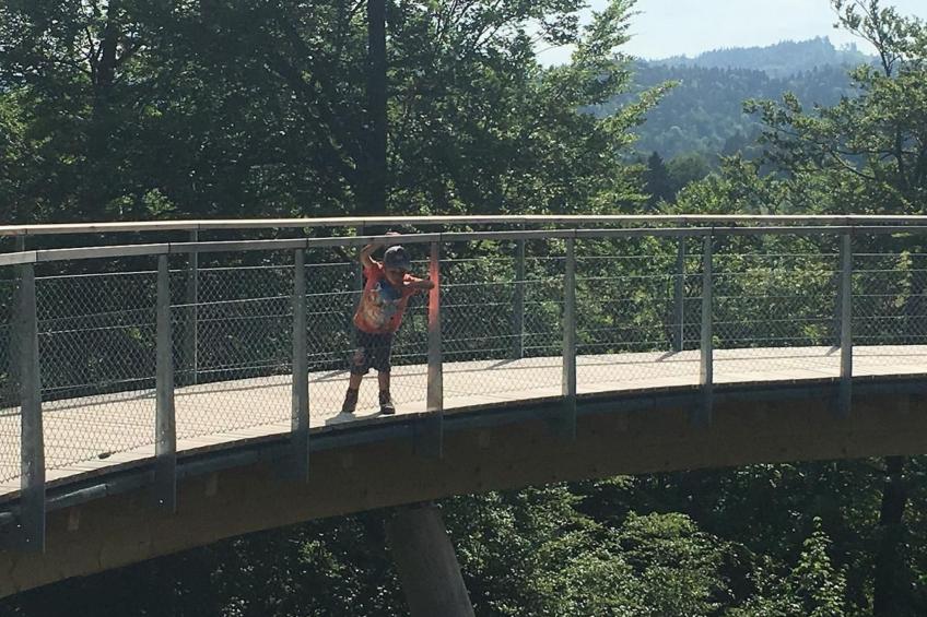 Alpakahof Ferien - foto 49