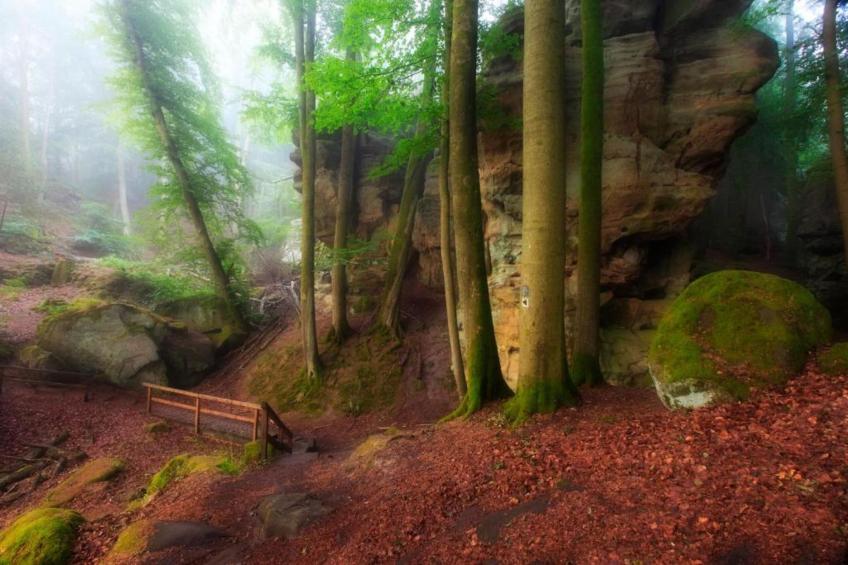 Resort Echternacherbrück 1 - foto 22