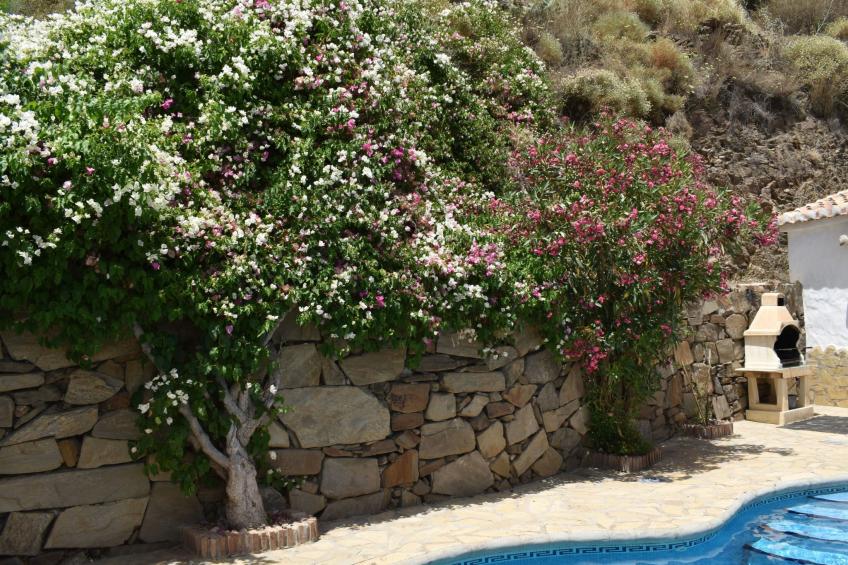 Finca Hornillo mit privatem Pool - foto 33