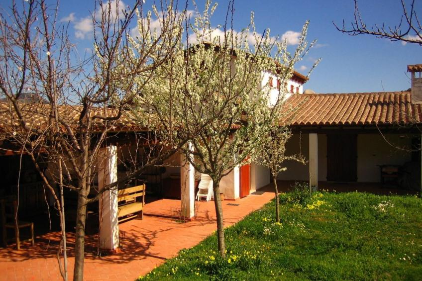 Natur, ökologische Nachhaltigkeit, nur für Erwachsene, Meer in der Nähe - foto 27