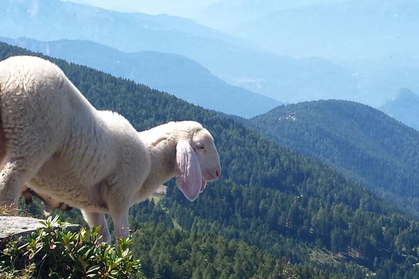 Wohnung in Levico Terme mit Privatparkplatz - foto 19