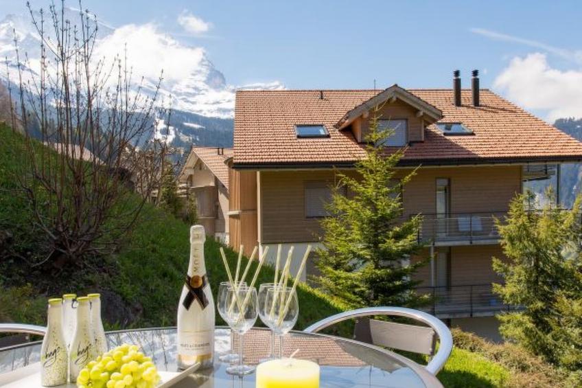 Chalet Panorama - foto 14