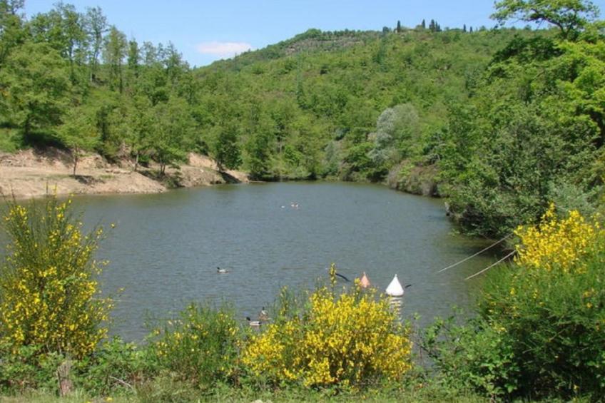 Le Corniole mit Pool, Jacuzzi und Grill - foto 42