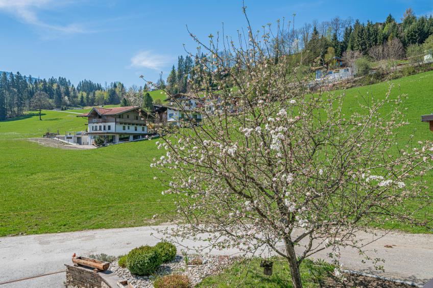 Hohe Salve L - foto 6