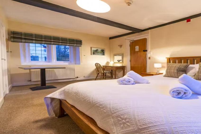 Forest House - foto 31