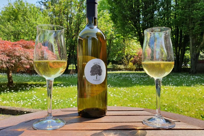 Wohnung in gemütlichem kleinen Bauernhaus - foto 47