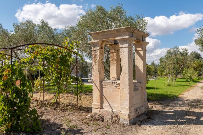 Oasi Verde - foto 33