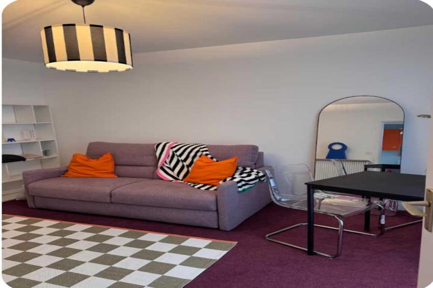 SK-43-TARIEL - foto 8