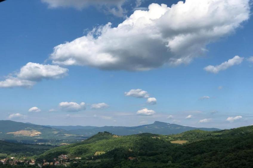 Nonno Raoul - foto 35