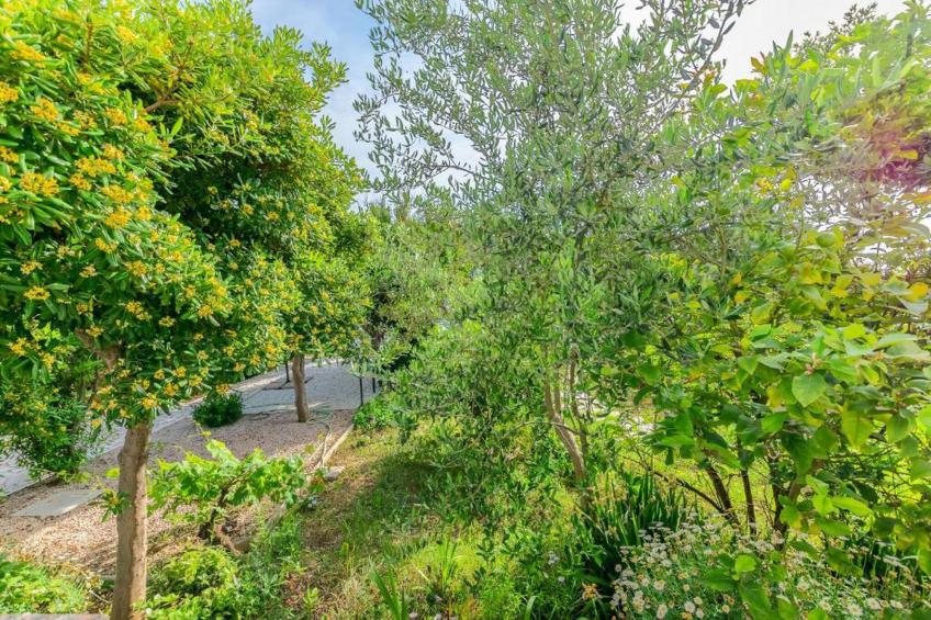 Apartments Jurica - Apt Petra with Sea View - foto 27