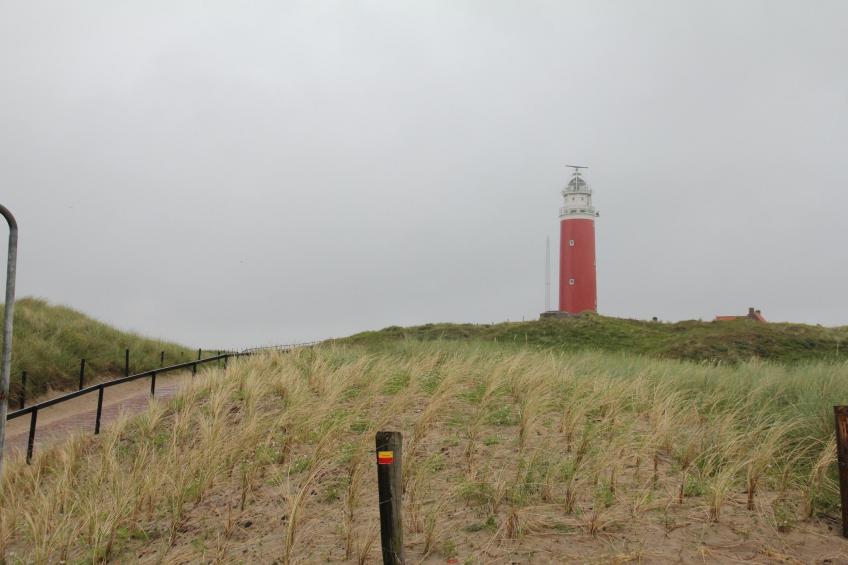 De Witte Parel - foto 22