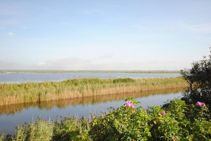 "Leocadia" - 150m to the inlet in The Liim Fiord - foto 3