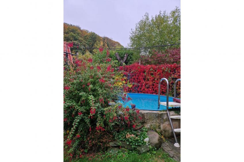 Blankenburg - foto 24