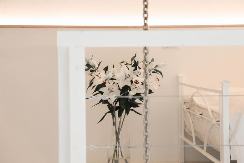 Pool-Loft Siebengebirge Wandern Erholen Sauna - foto 5