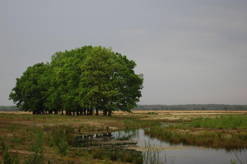 Landgoed De IJsvogel 8 - foto 18