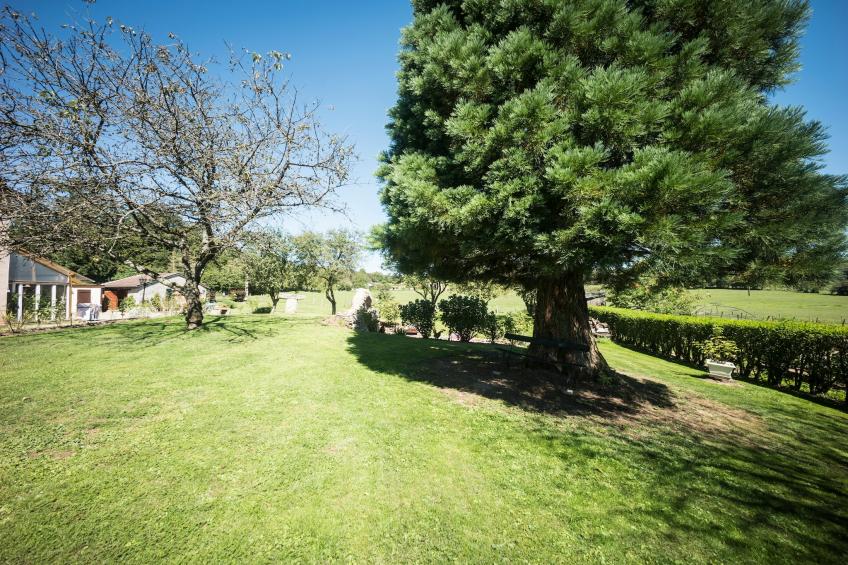 Curtille du Mesnil 2 - foto 39