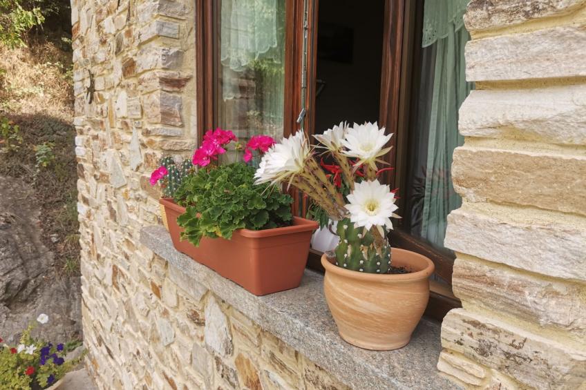 Casa Bella Vista - foto 17