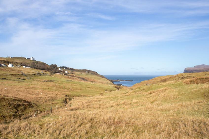 The Studio - foto 33